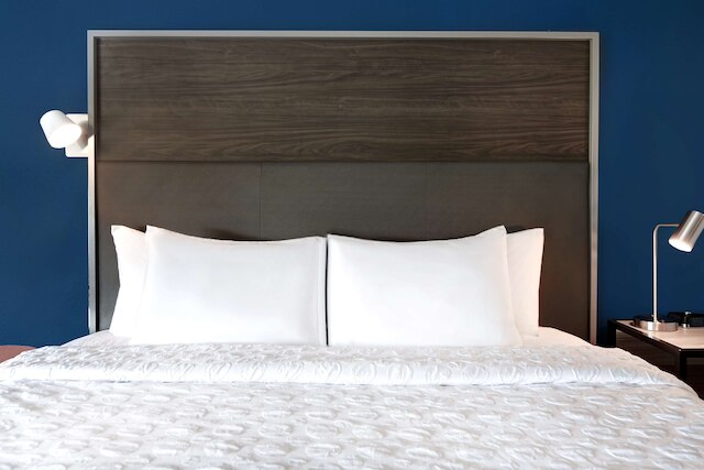 トゥルー バイ ヒルトン コロンビア グレイストーン