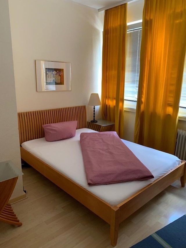 デュッセルドルフ センター アパートメンツ