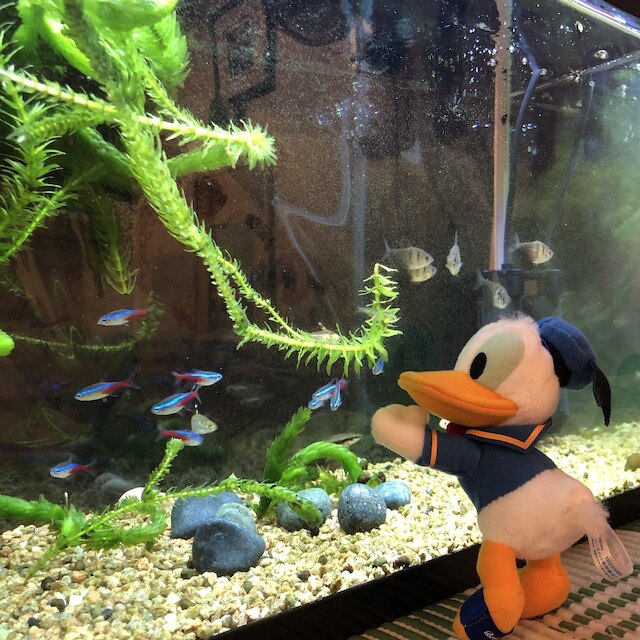 ゲストハウス しあわせ駅