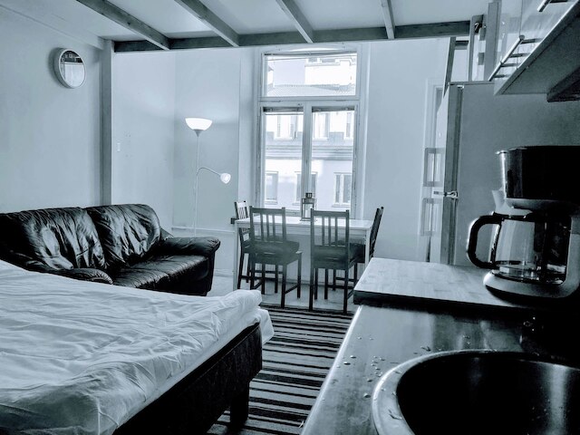 ヘルシンキ シティ センター スタジオ & ロフト