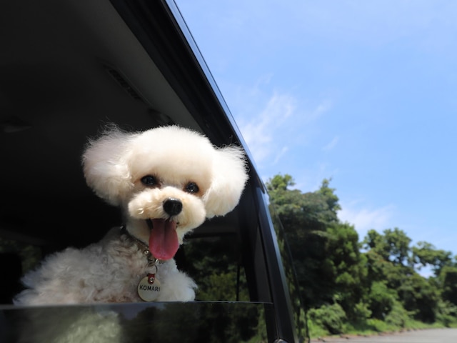 Wan's Resort 城ヶ崎海岸