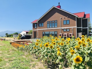 B&B Plus + Shooting Star