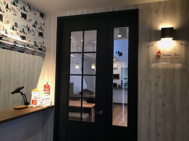 B&B Plus + Shooting Star