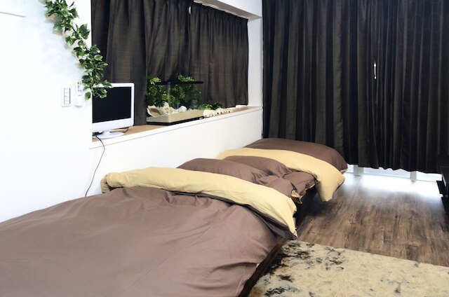 サウス アイランド