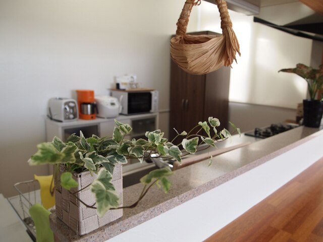 Rental Villa Luana Waioli