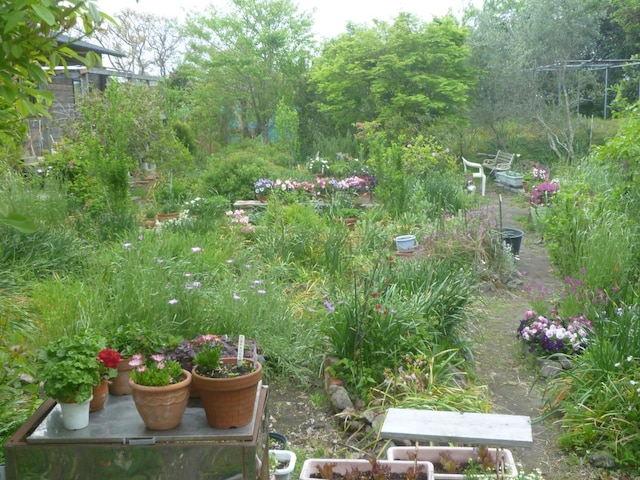 ペンション・フローラ