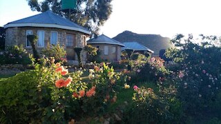 ラベング ハ マモサ