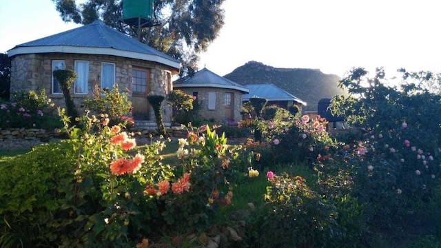 ラベング ハ マモサ