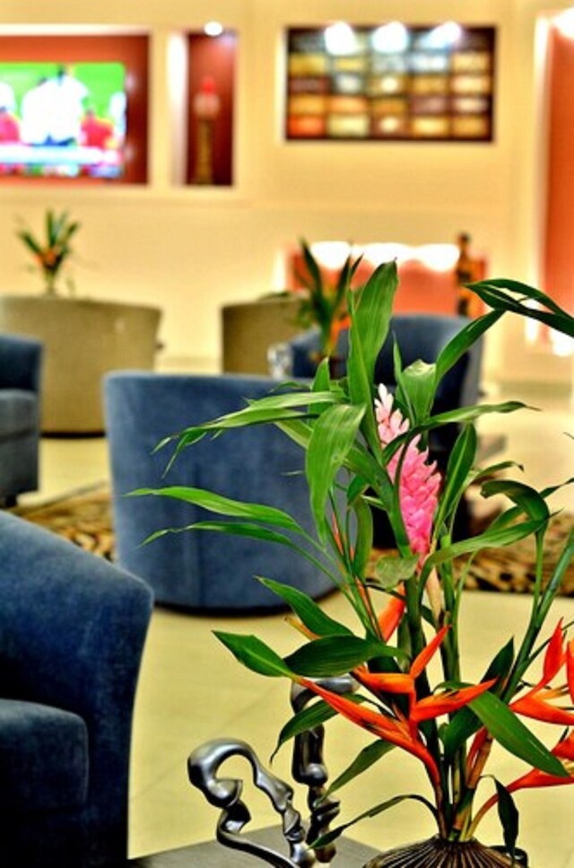 ザ ケープ ホテル