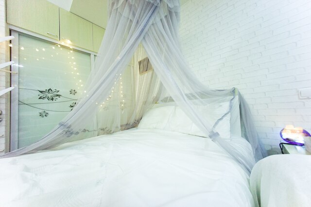 上海 レインボー No.56