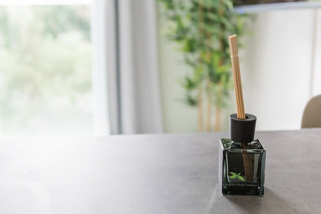 ライムホーム リンツ ホープフンガッセ