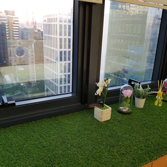 KPOP コエックス ガンナム ステイ