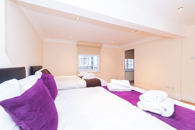 PML アパートメンツ エルヴァーソン ミューズ