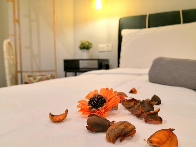 ヴィダ、ホームズ アジアン