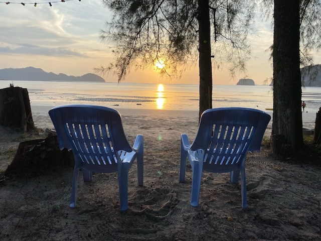 ブルー ラグーン ホーム トラン