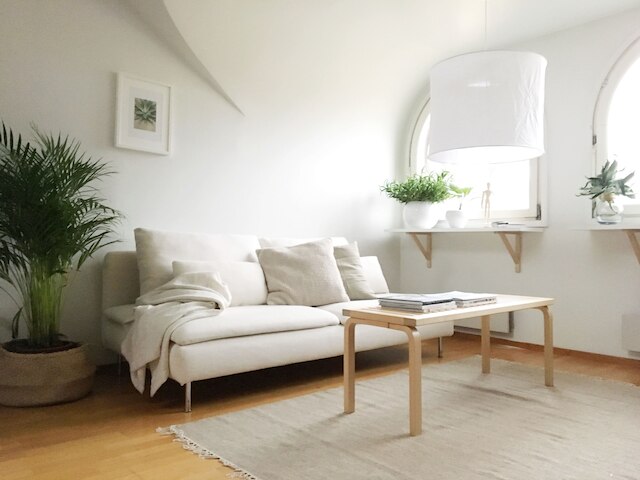 ルースト プルシミエヘンカトゥ