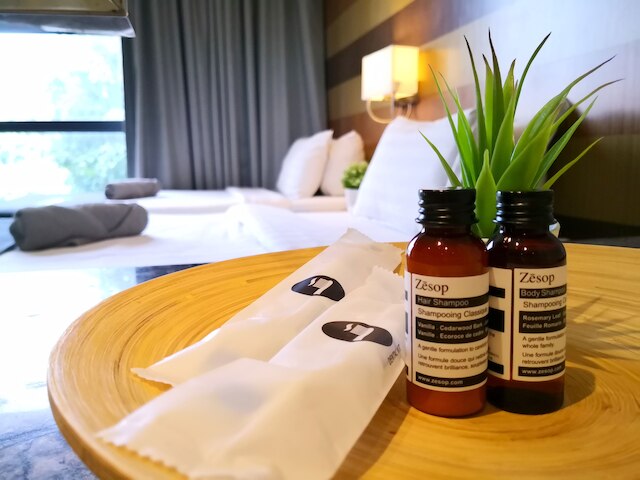 ディーマジェスティック プレイス バイ ホームズ アジアン 3