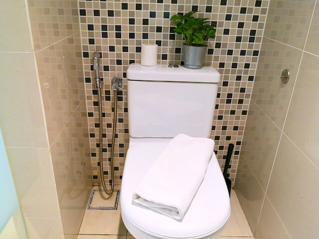 ディーマジェスティック プレイス バイ ホームズ アジアン 3