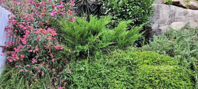 レッド ハウス バイ ザ リバー