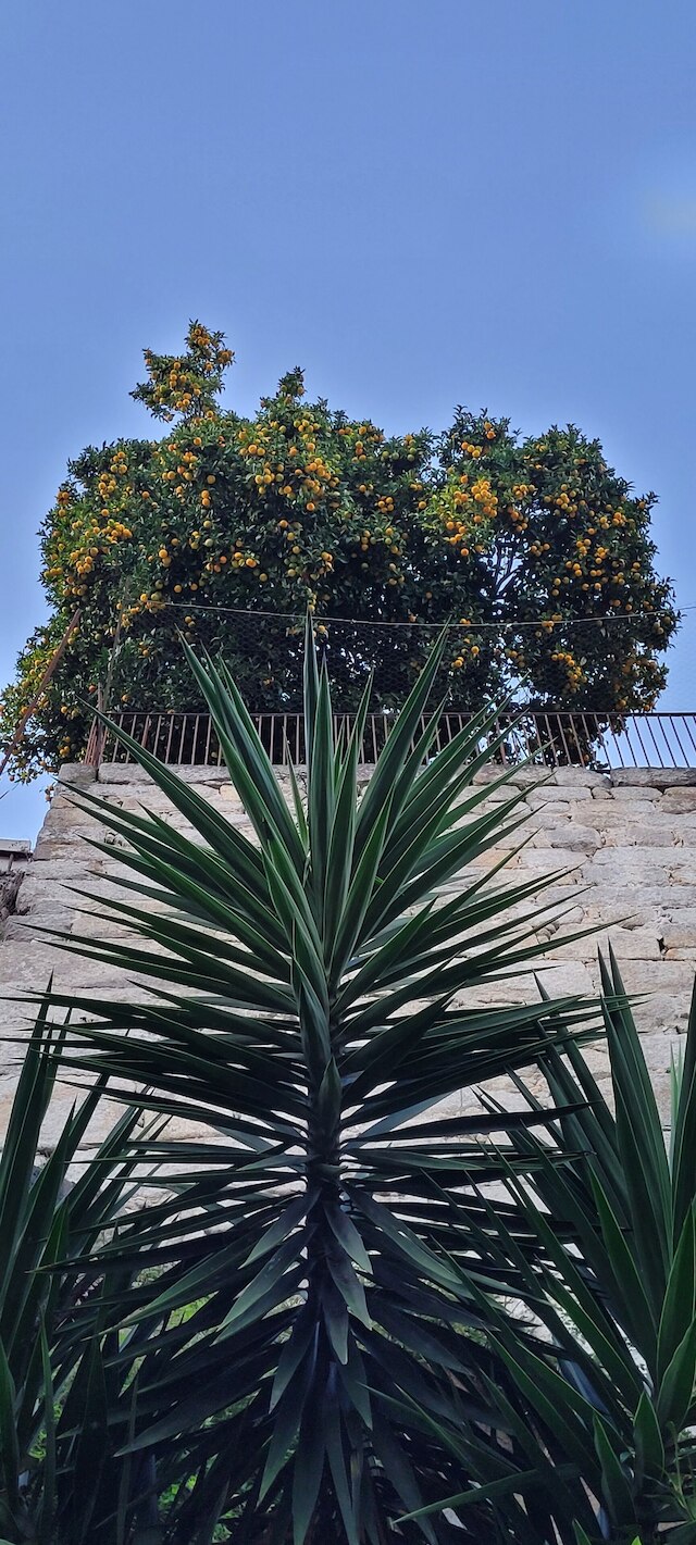 レッド ハウス バイ ザ リバー