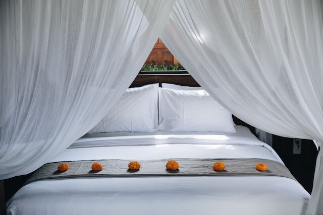 ホワイト トータス エコ ヴィラス