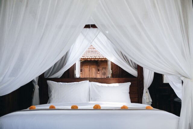 ホワイト トータス エコ ヴィラス