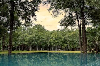 マネ ファミリー バケーション