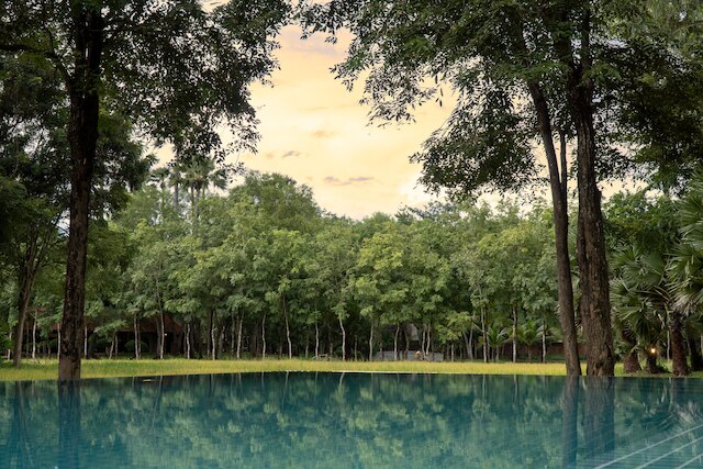 マネ ファミリー バケーション