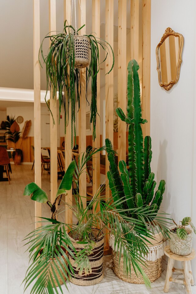 パーム ブティック ホテル ニース