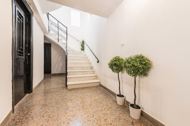 シンタグマ ラグジュアリー リビング ワン LL1 アパートメンツ