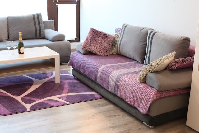 バイオレット トリトン アパートメント