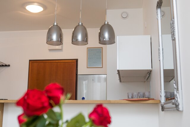 シルバー アパートメンツ - ウリツァ クロポヴォ