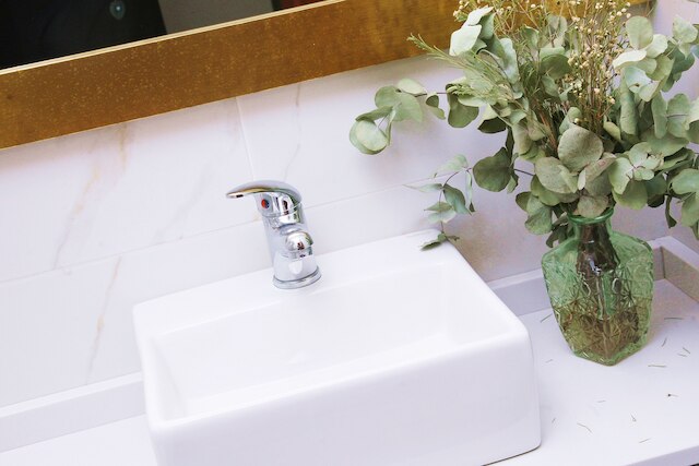 エスペクタクラル アロハミエント