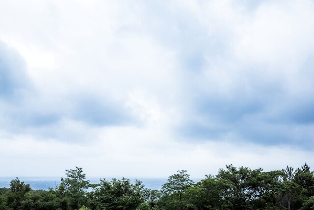 アナンダチレッジ