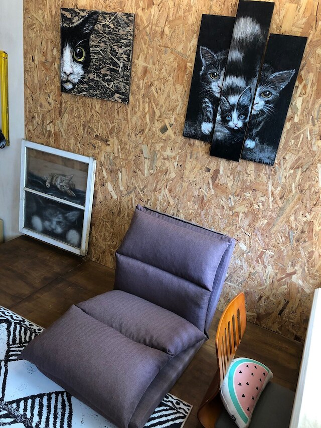 シャドウ ハウス