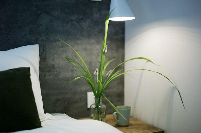 カイア レジデンス ダナン クワイエット ガーデン