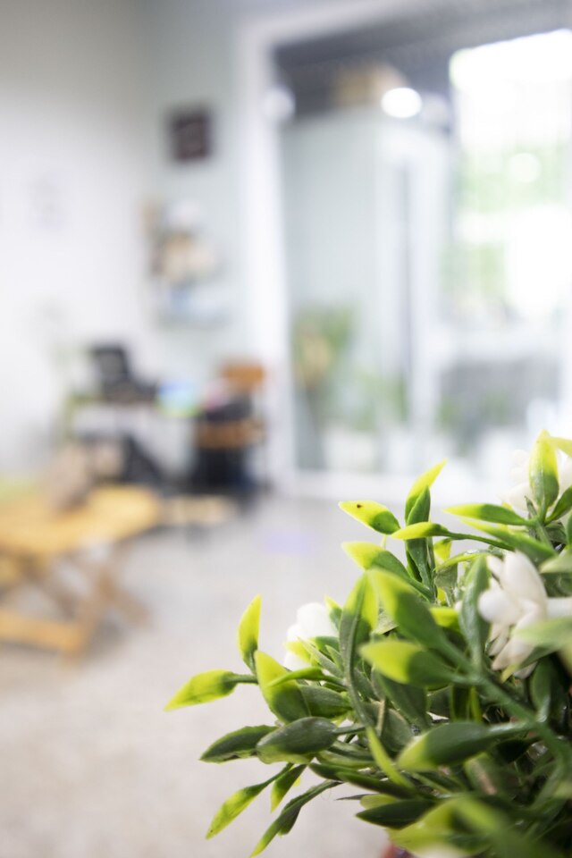 メモリー ホームステイ