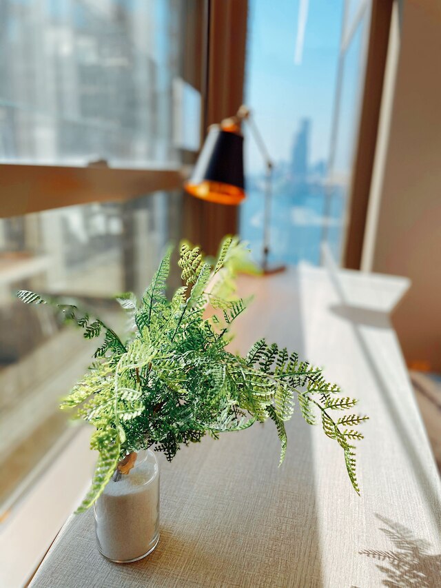 ホテル アレクサンドラ (歴山酒店)