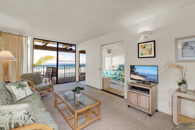 コナ バリ カイ No.204