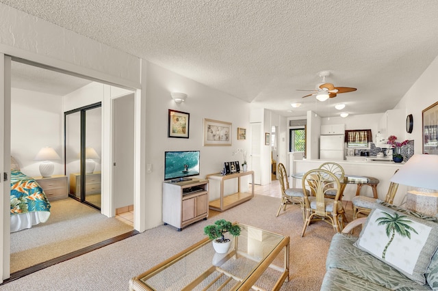 コナ バリ カイ No.204