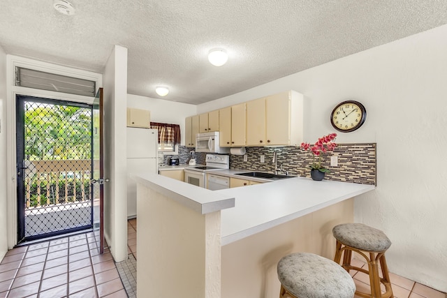 コナ バリ カイ No.204