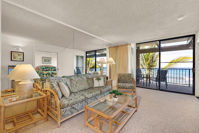 コナ バリ カイ No.204