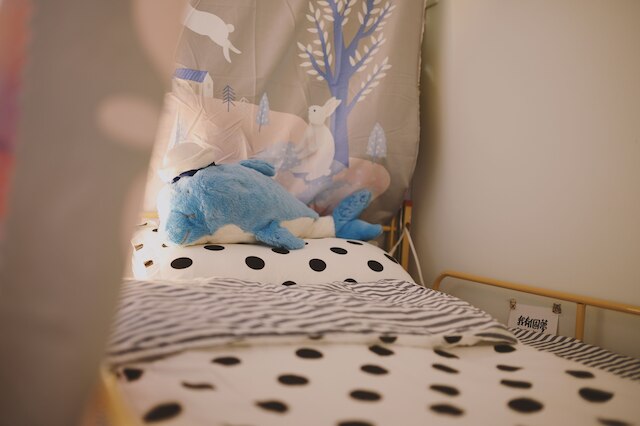 レッド レター デイ (太陽慢慢走)