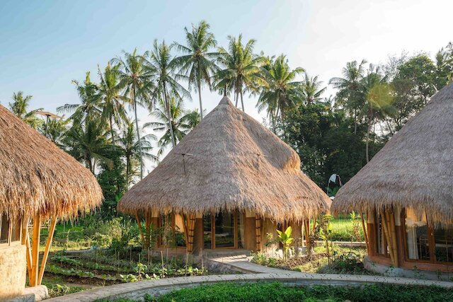 マナ アースリー パラダイス