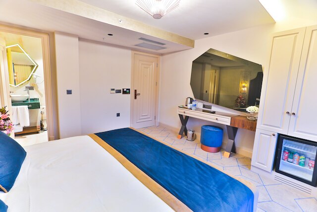 ダニス ホテル & スパ イスタンブール - オールド シティ