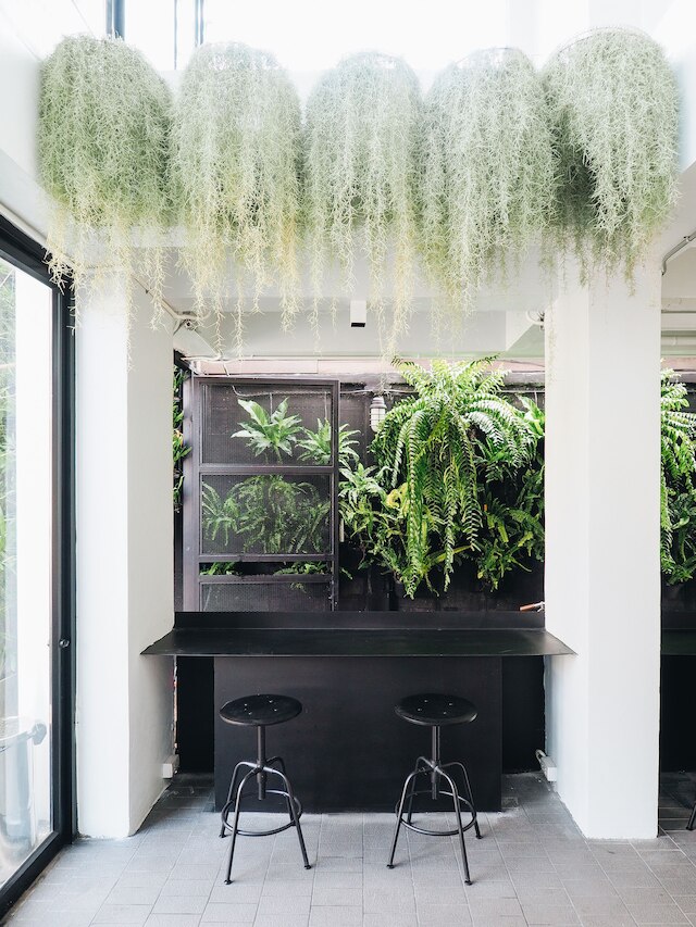 ロイ ホテル - ホステル