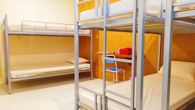 グリヤ アリーシャ