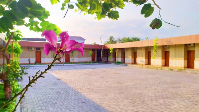 グリヤ アリーシャ