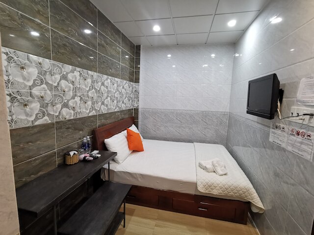 コナズ ホームステイ