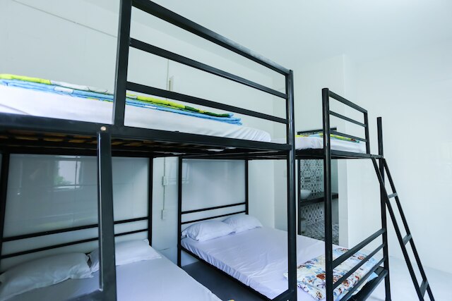 キング ホームステイ